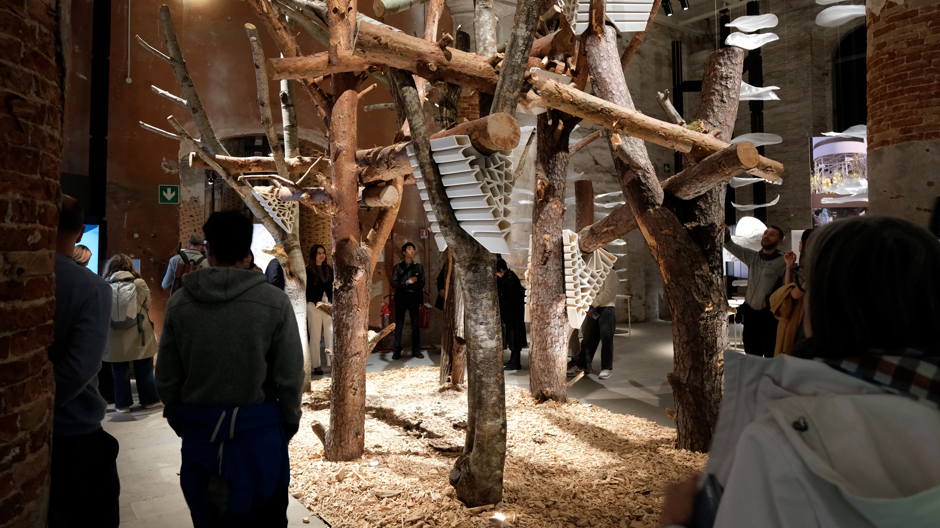Caracol - Robotic LFAM embracing nature at Biennale Architettura 2025